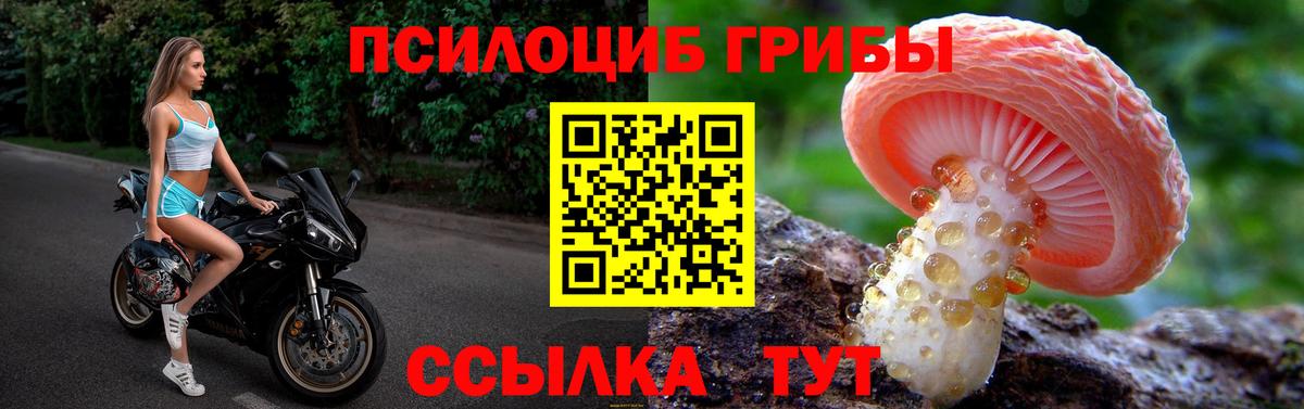 Галлюциногенные грибы Magic Shrooms Среднеуральск